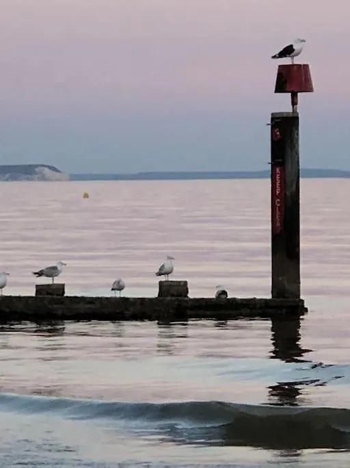 Bournemouth Nr Town Beach Train Coach Shops Lovely Entire Apartment Allows Quiet Good Dogs 0*,  United Kingdom